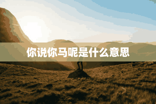 你说你马呢是什么意思